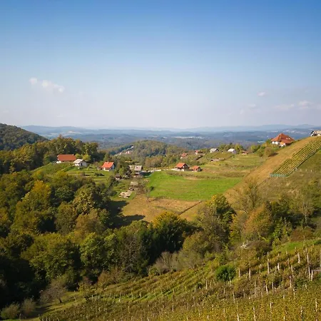 Vineyard Urban - Happy Mirna