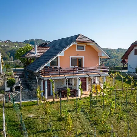 Vineyard Urban - Happy * Mirna